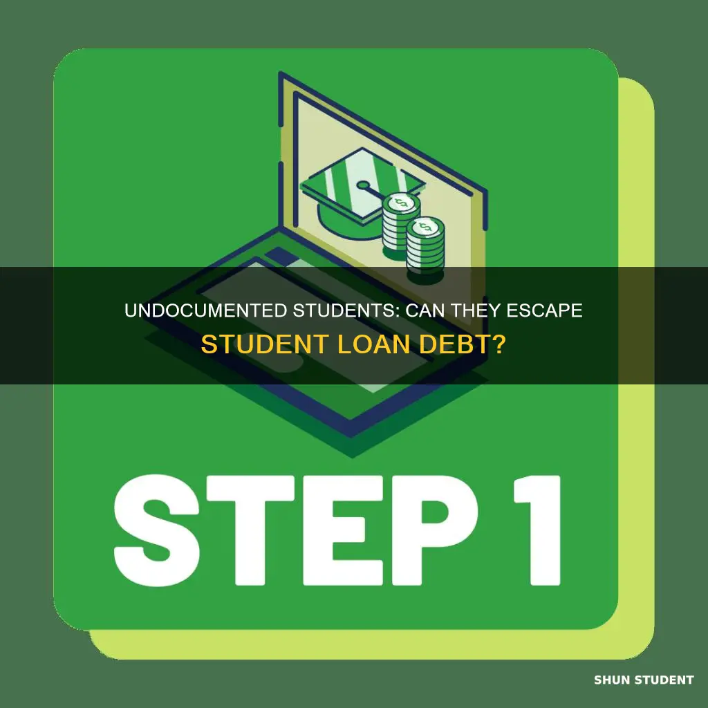 do undocumented kids have to pay back student loans