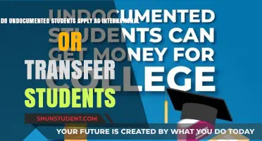 Applying to College: Undocumented Student's Options