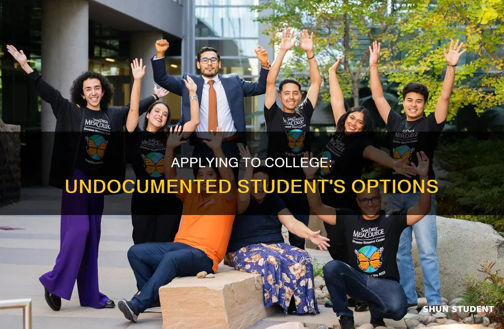 do undocumented students apply as international or transfer students