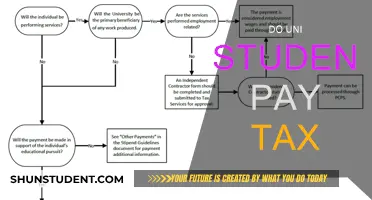 Uni Students and Taxes: Who Pays?