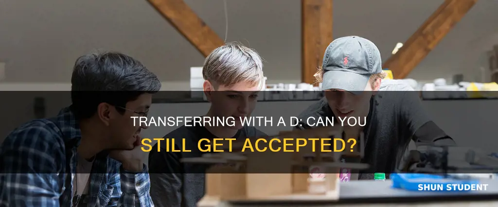 do universities accept transfer students with a d