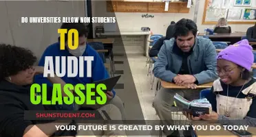 Audit Classes: Can Non-Students Join University Lectures?