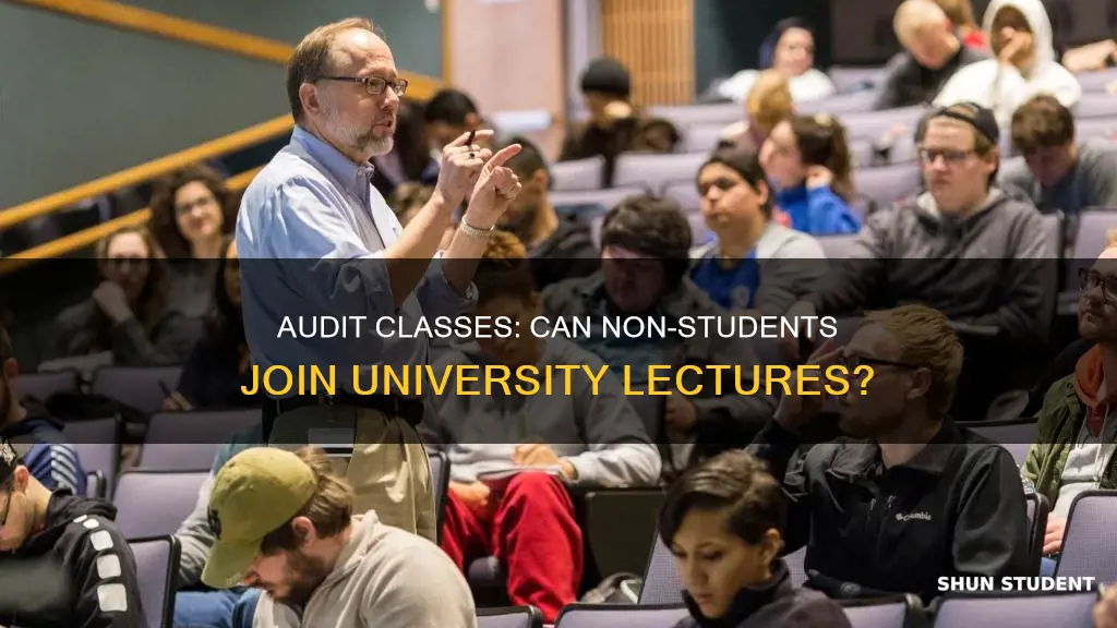do universities allow non students to audit classes