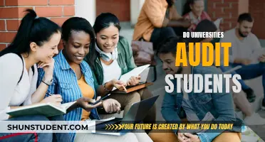 The Truth About University Student Auditing