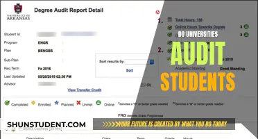 The Truth About University Student Audits