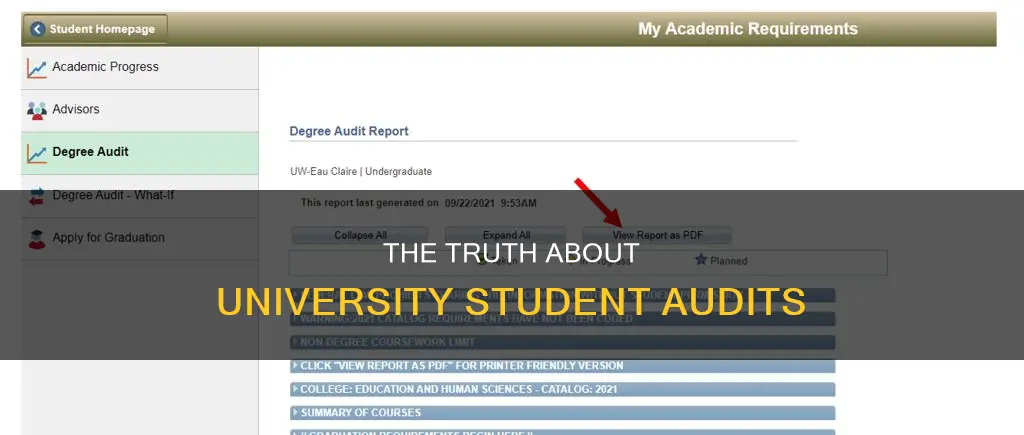 do universities audit students