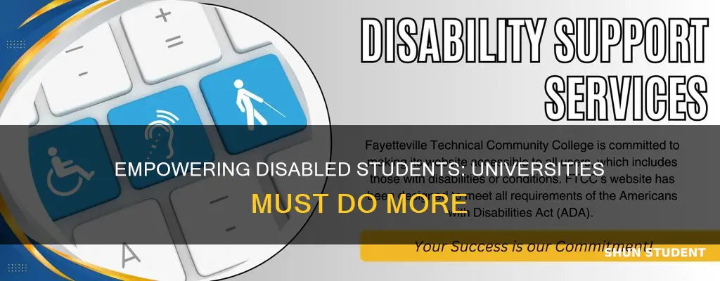 do universities can more to support their students with disabilities