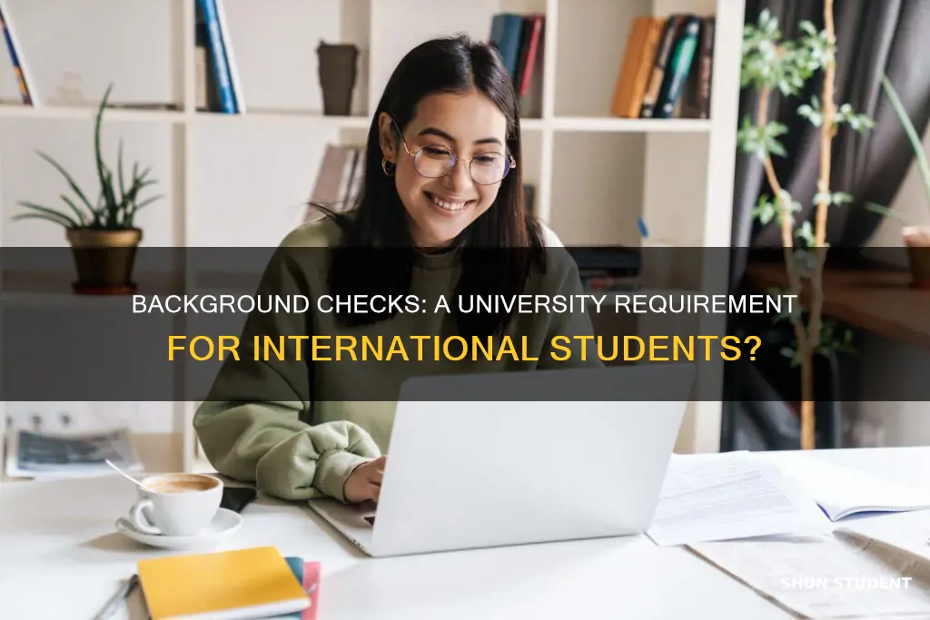 do universities do background checks on international students