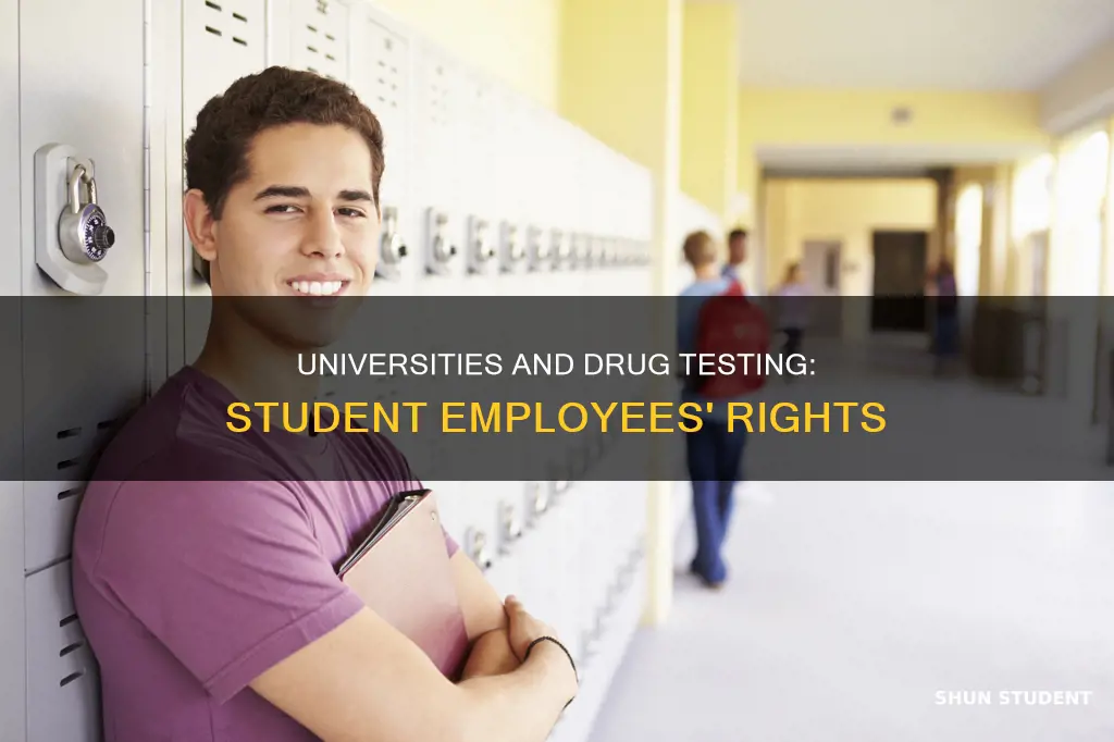 do universities drug test student employees