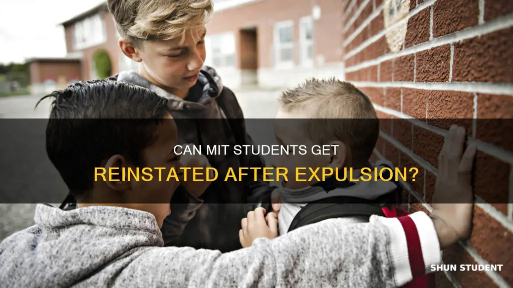 do universities ever unexpelled students mit