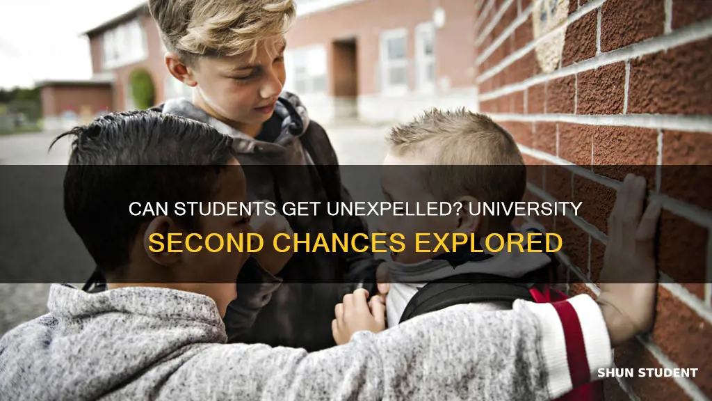 do universities ever unexpelled students