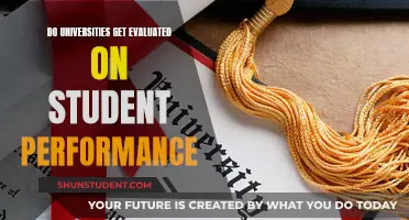 Student Performance: University Ranking Factor?