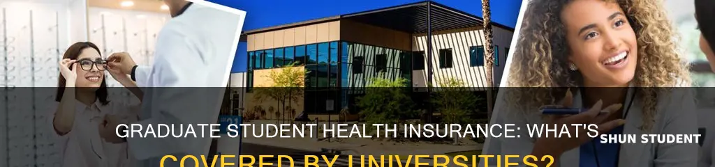 do universities give graduate students health insurance