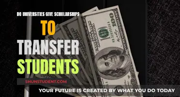 Transfer Students: Scholarships Available at Universities?