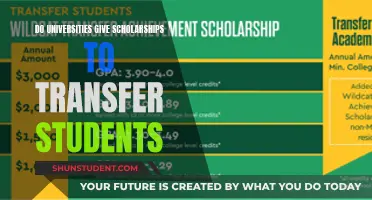 Transfer Students: Scholarships Available at Universities?