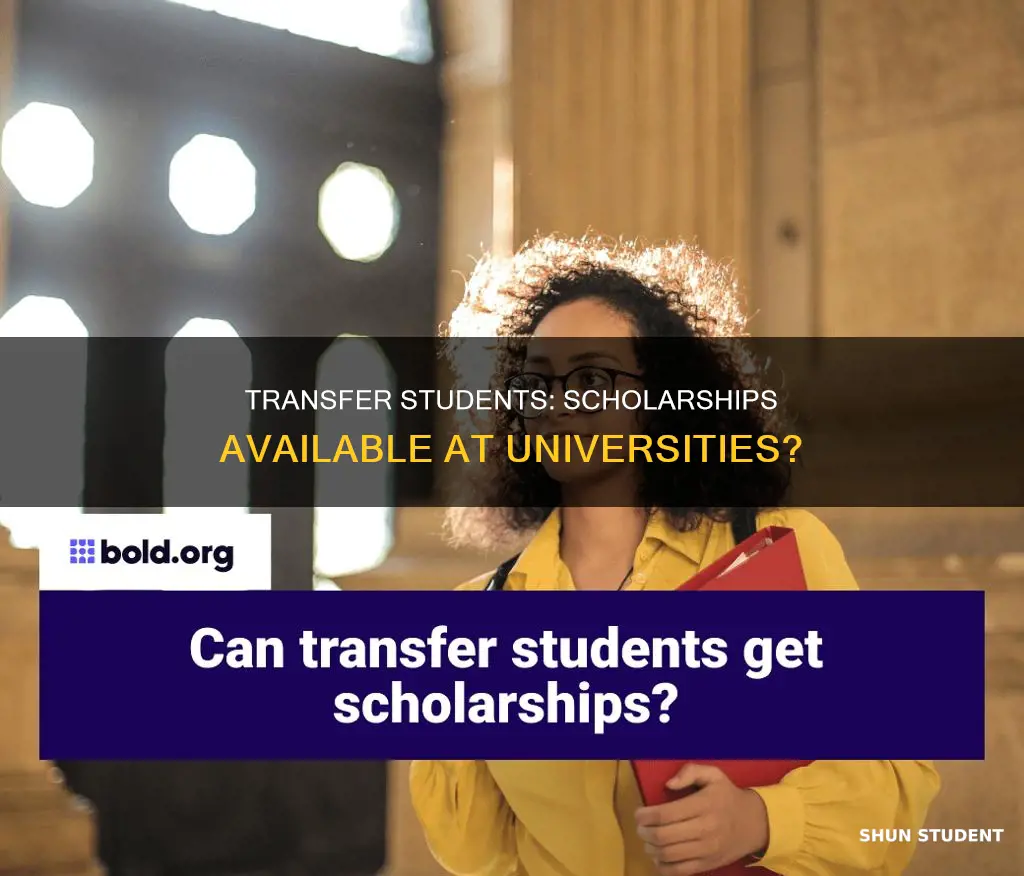 do universities give scholarships to transfer students