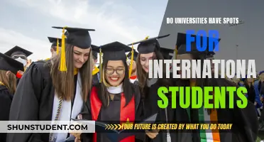 International Students: University Spots and Opportunities