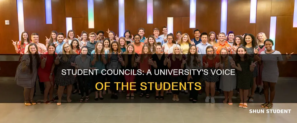 do universities have student council