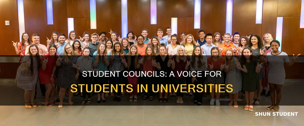 do universities have student council