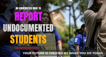 Undocumented Students: Universities' Reporting Responsibilities Explored