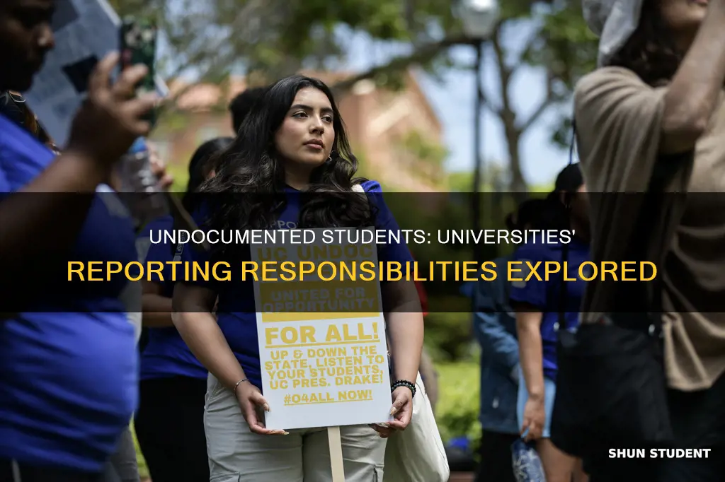 do universities have to report undocumented students