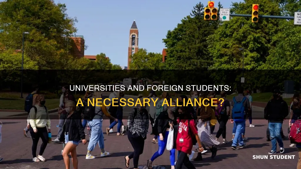 do universities need to enroll abroad students