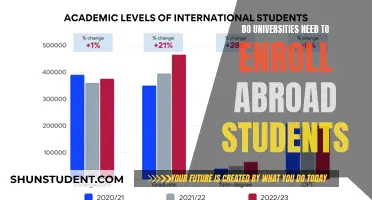 Universities and the Benefits of Enrolling Foreign Students