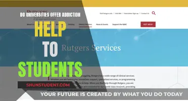 Addiction Support: What Help Do Universities Offer Students?