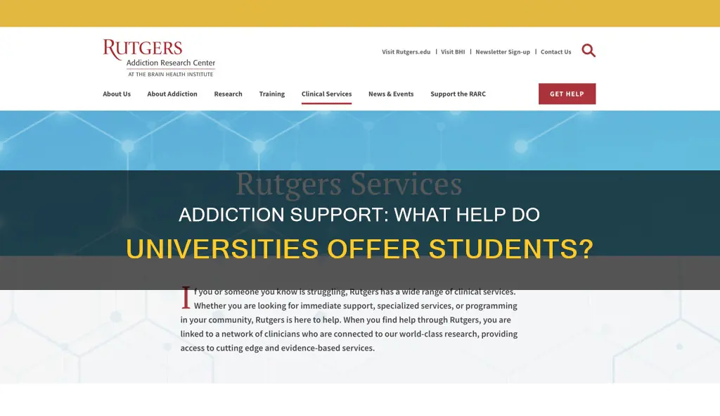 do universities offer addiction help to students