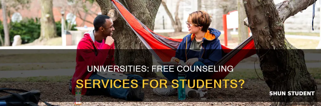 do universities offer free counseling to students