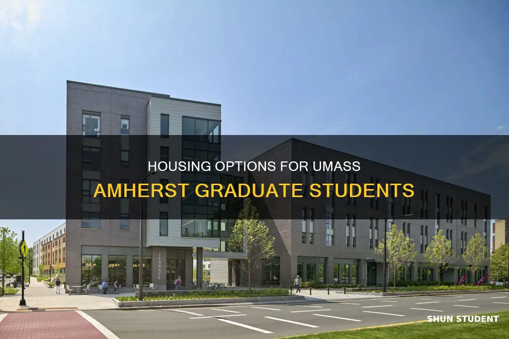 do universities offer housing for graduate students umass amherst