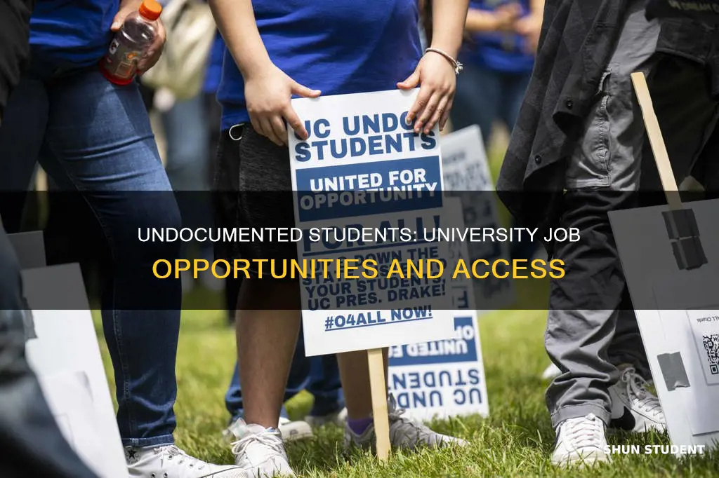 do universities offer jobs for undocumented students