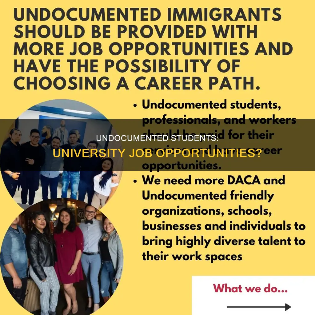 do universities offer jobs for undocumented students