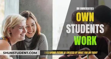 Who Owns Student Work? University vs Student IP Rights