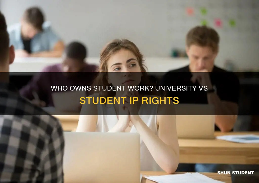 do universities own students work