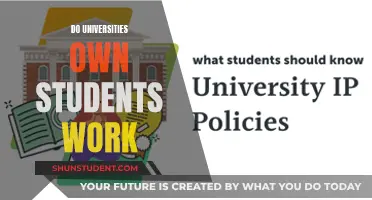 Who Owns Student Work? University vs. Student Rights