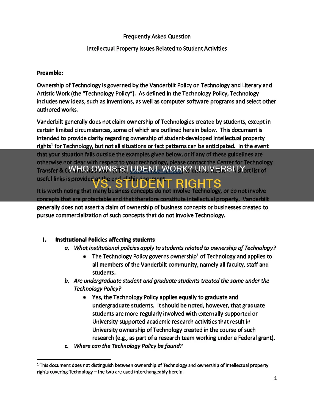 do universities own students work