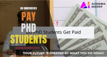 PhD Students: Are They Paid by Universities?