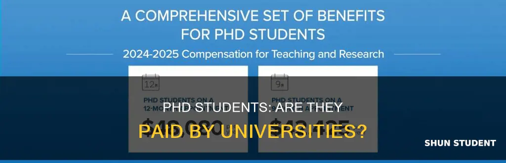do universities pay phd students