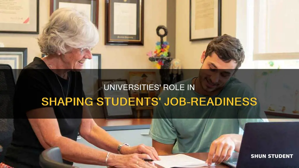 do universities prepare students for jobs