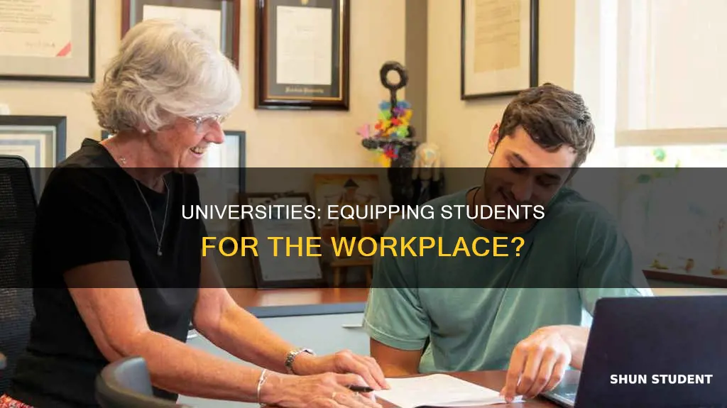 do universities prepare students for work