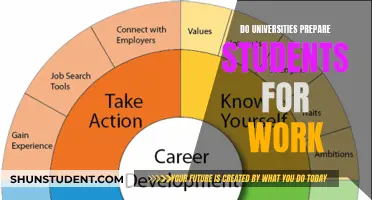 Academia vs Reality: Are Students Work-Ready?