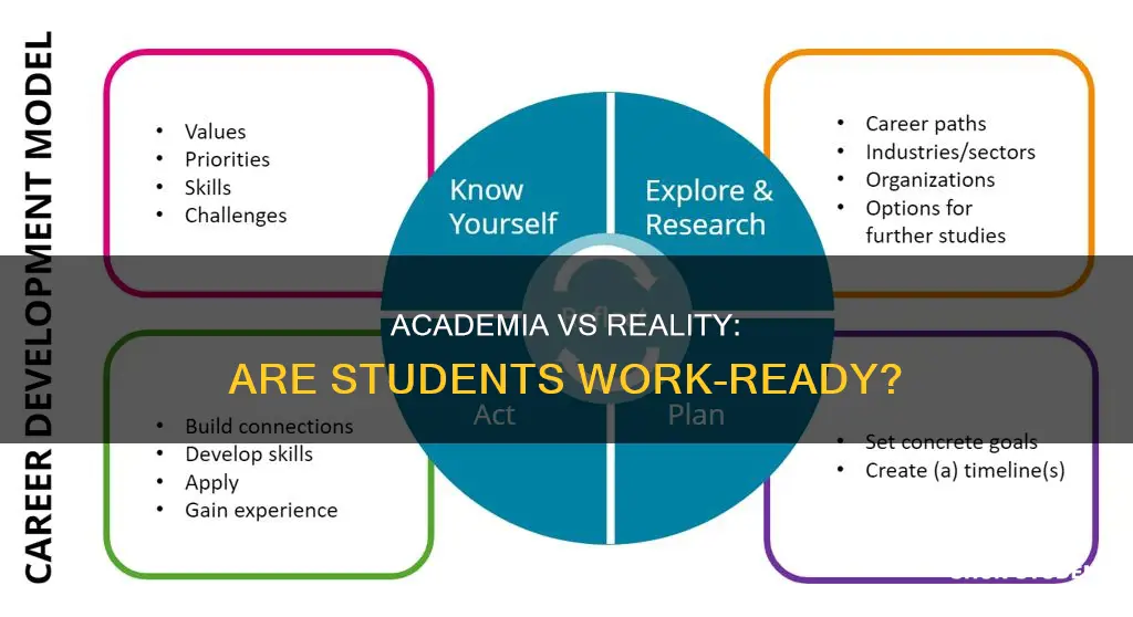 do universities prepare students for work