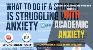Anxiety in Academia: Support for Students in Higher Education