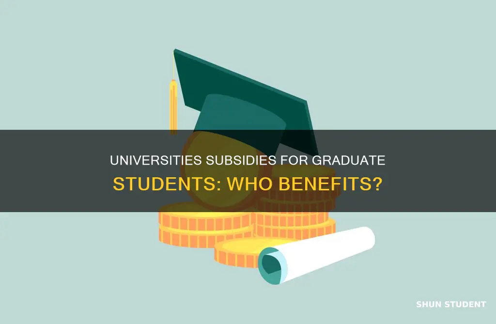 do universities subsidize gradiate students