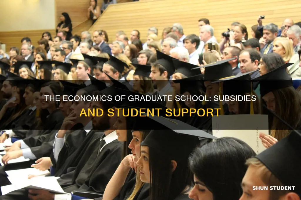 do universities subsidized graduate students