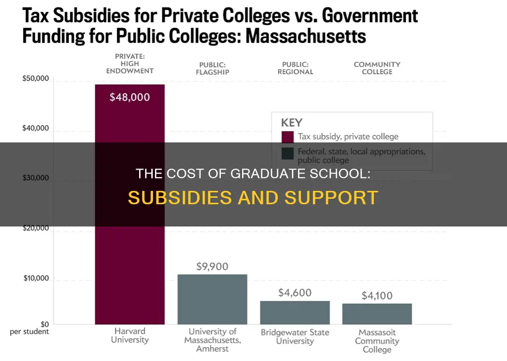 do universities subsidized graduate students
