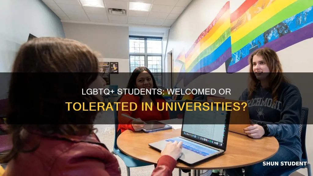 do universities want lgbt students