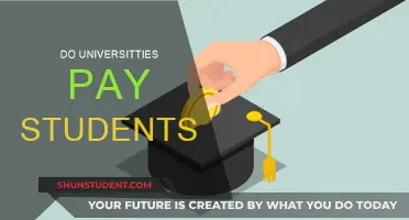 Students Getting Paid by Universities: Is It Possible?