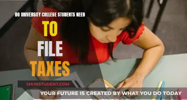 Understanding Tax Filing Requirements for University Students